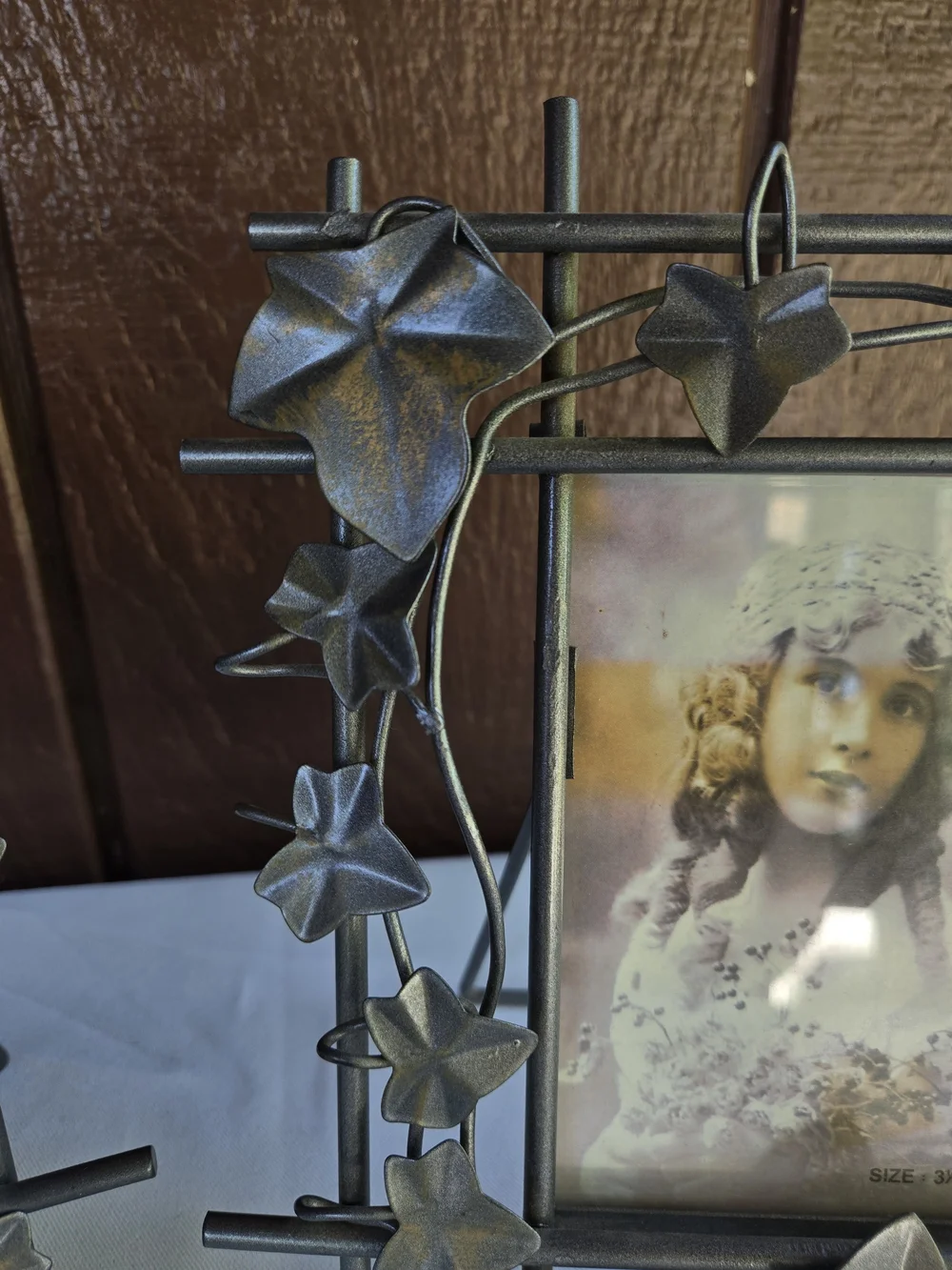 Decorative Metal Photo Frame with Ivy Accents - Set of 2
